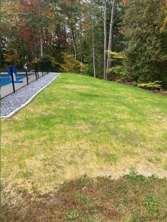 Property Maintenance